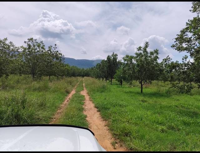 96HA FARM FOR SALE IN HEKPOORT